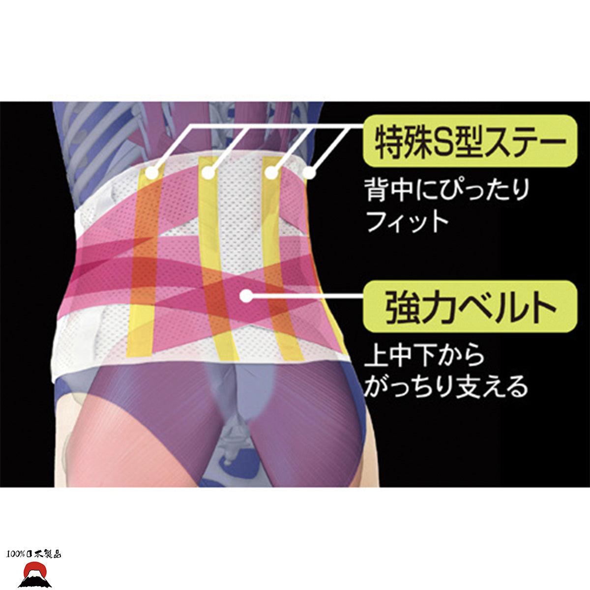 日本製ALPHAX Doctor's Firm Corset醫學緊緻修腹胸衣 - PLATEAUX LoHas Japan